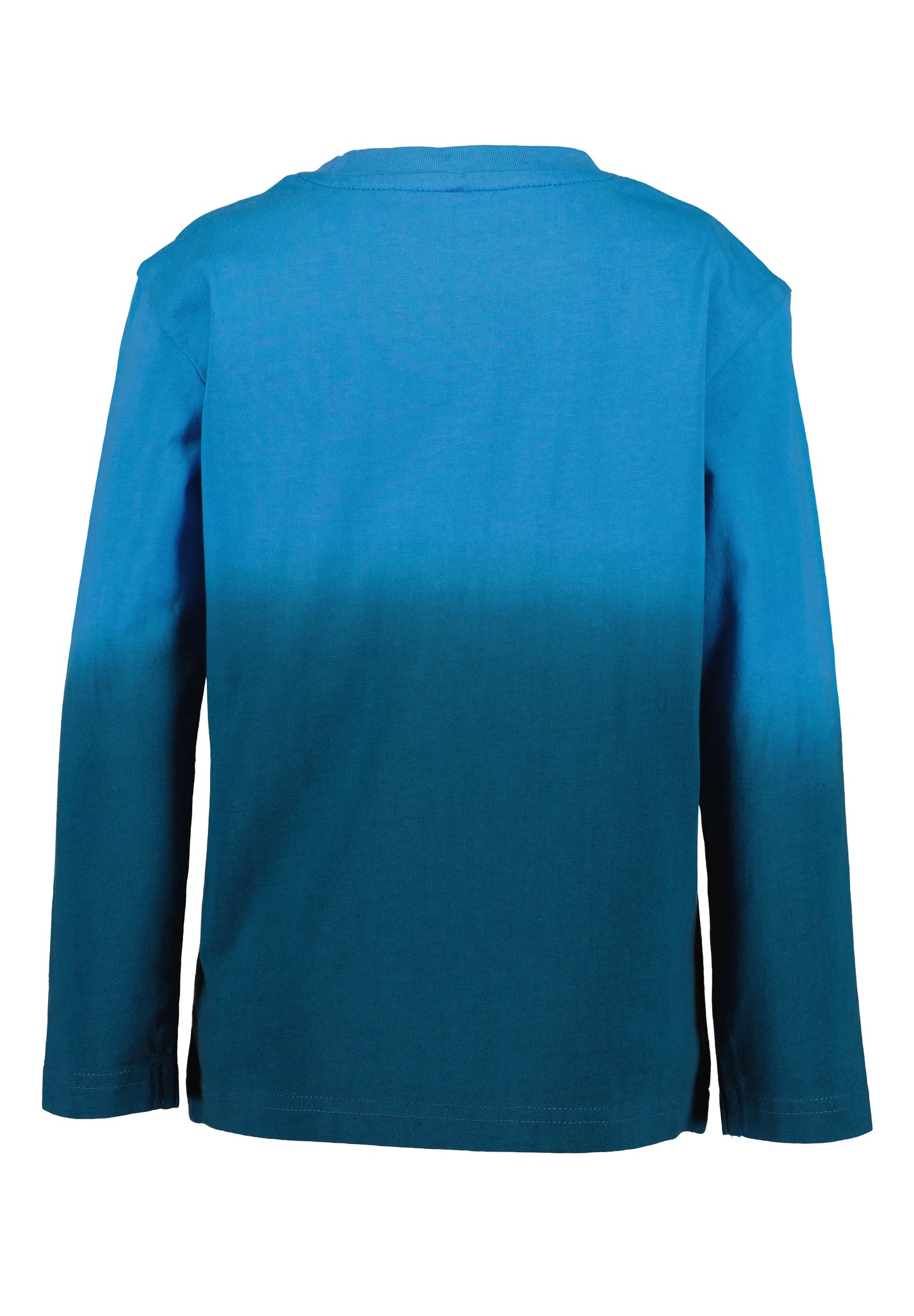 Langarmshirt blau,Wal
