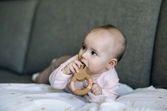 Greifring Hase okker