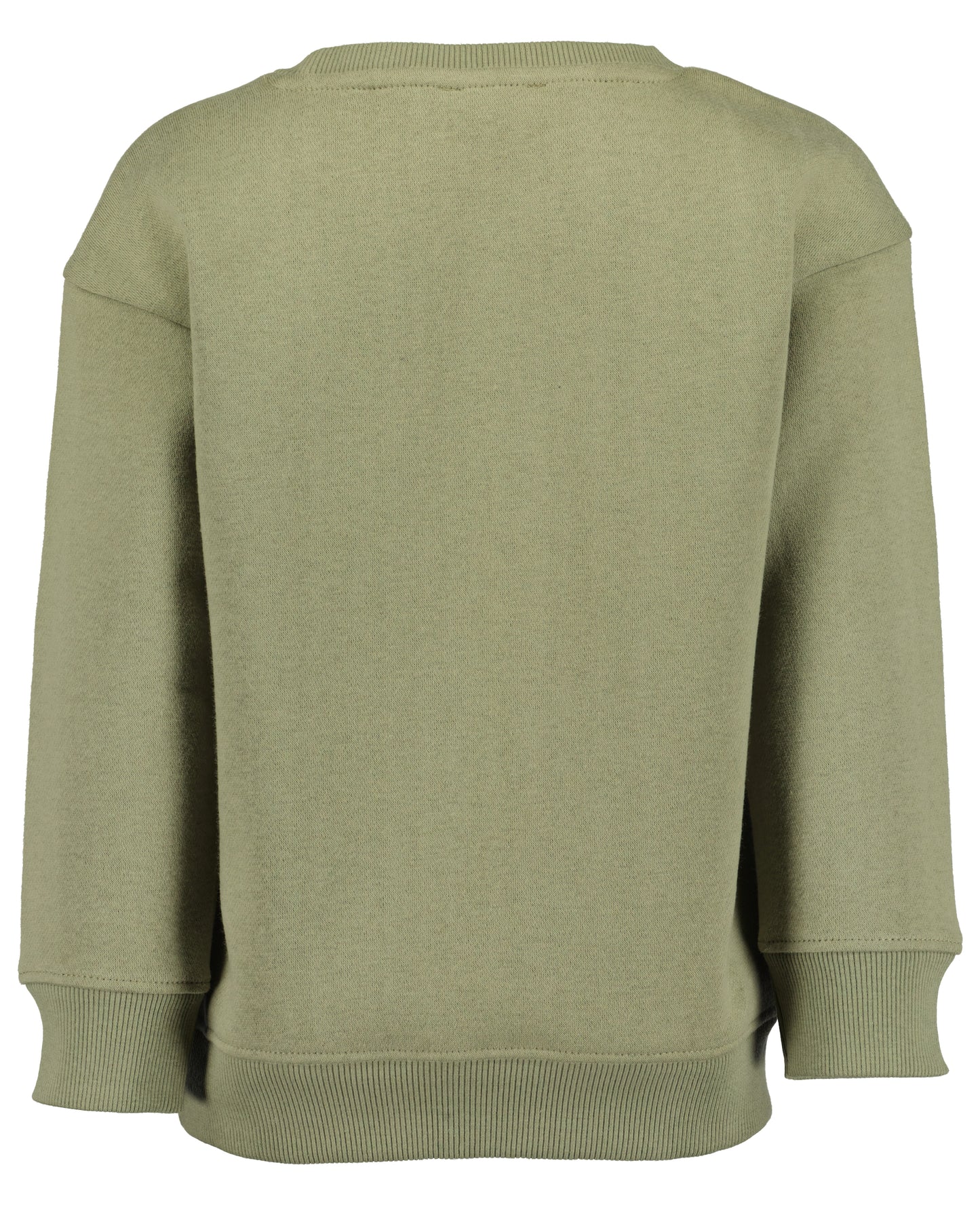 Pullover: Olive,Dino