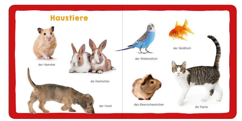 Meine ersten 100 Tiere