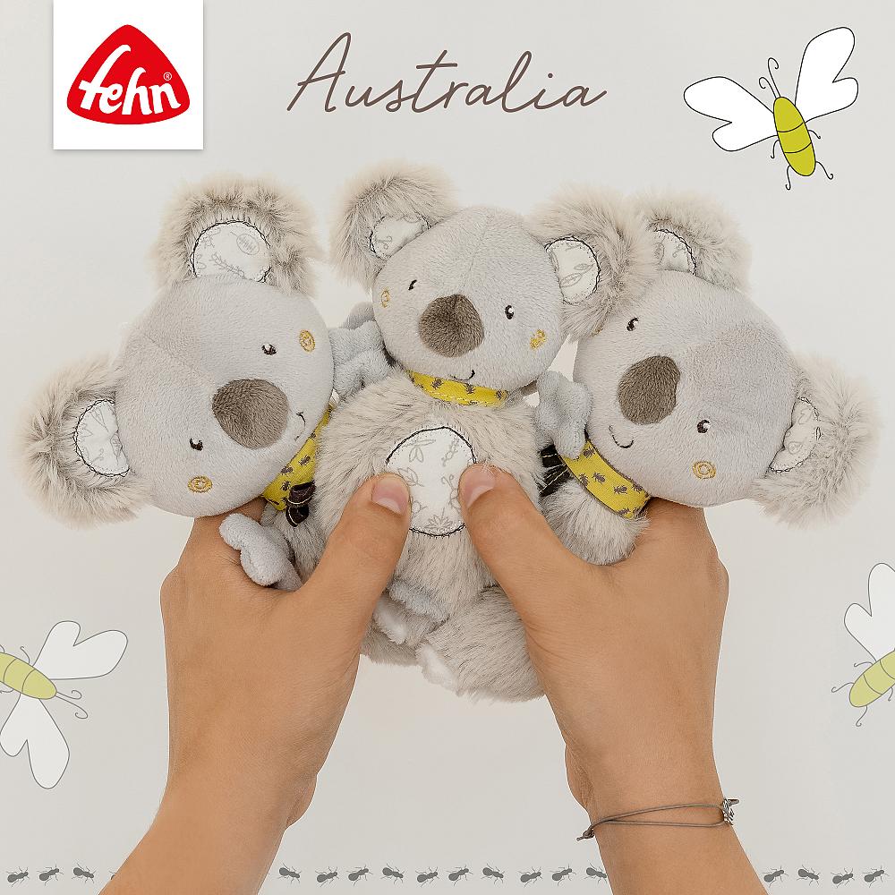 Decke: Koala