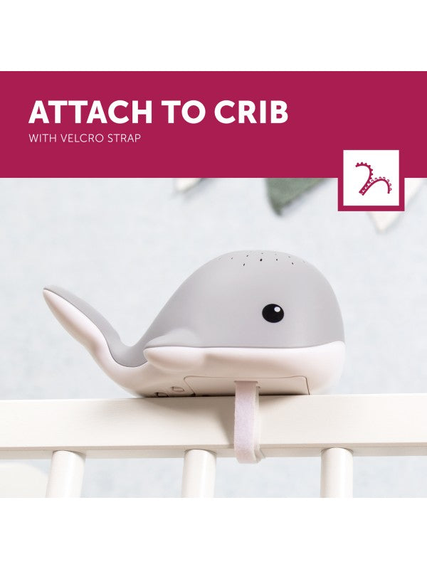 Nachtlicht Wal mit Musik: grau