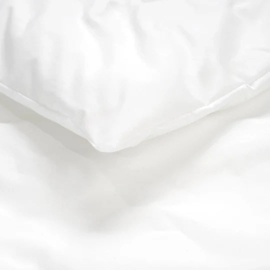 Kopfkissen: Hygiena