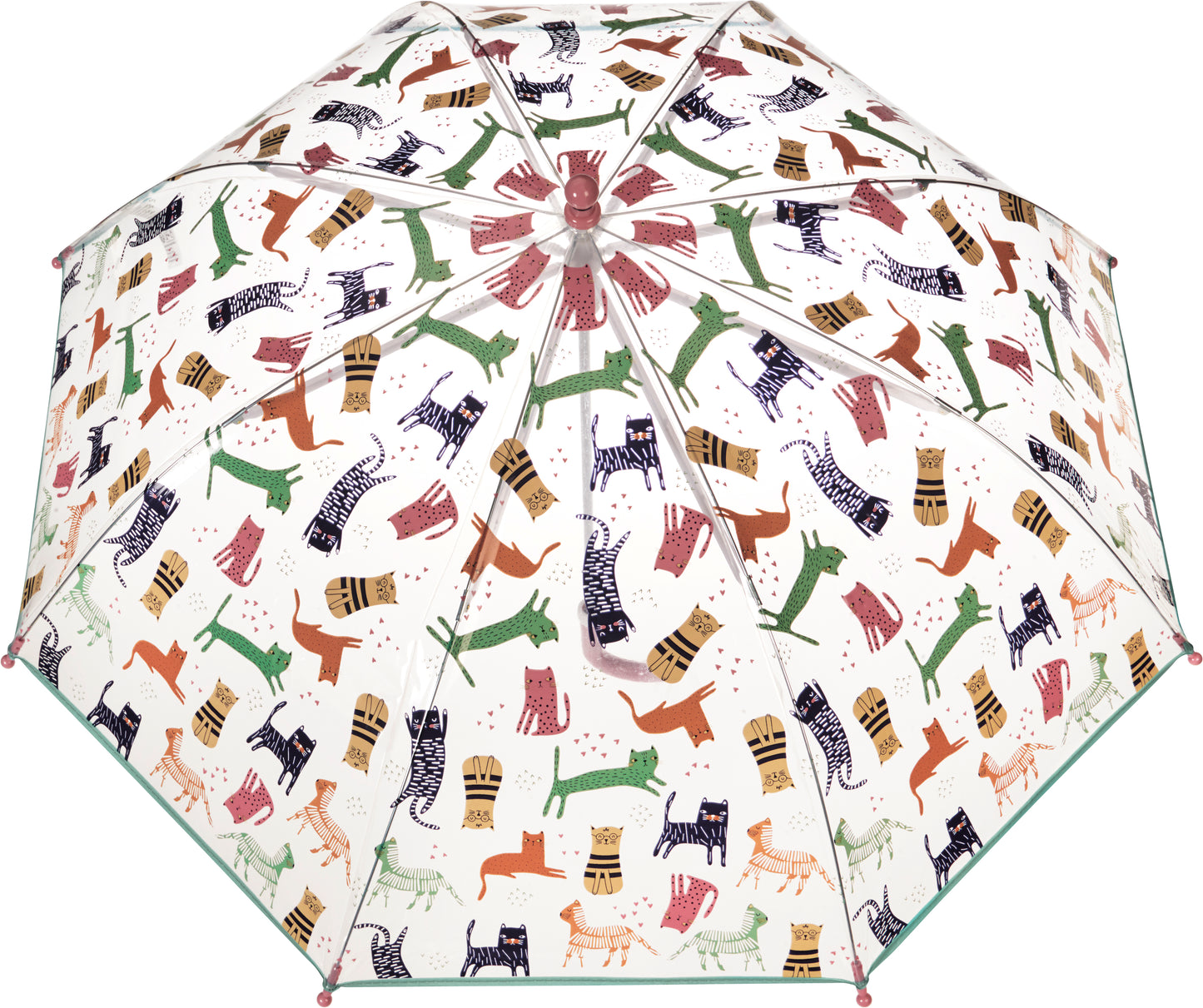 Regenschirm Katzen