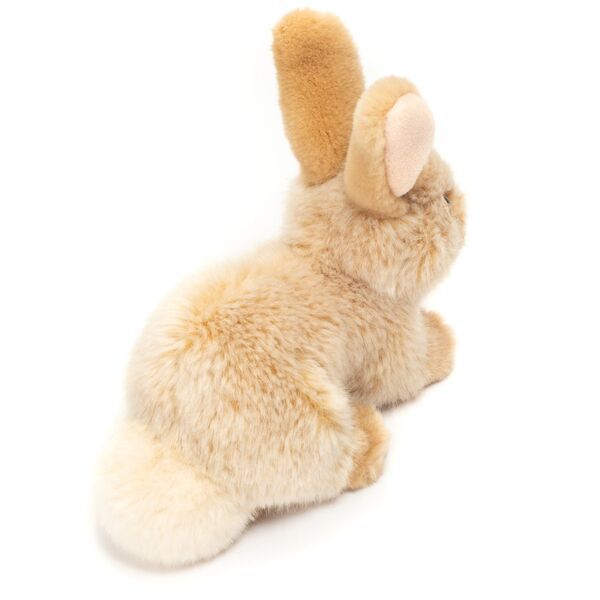 Hase: beige