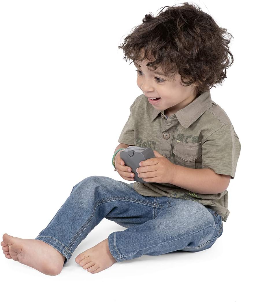 Auto (ferngesteuert)