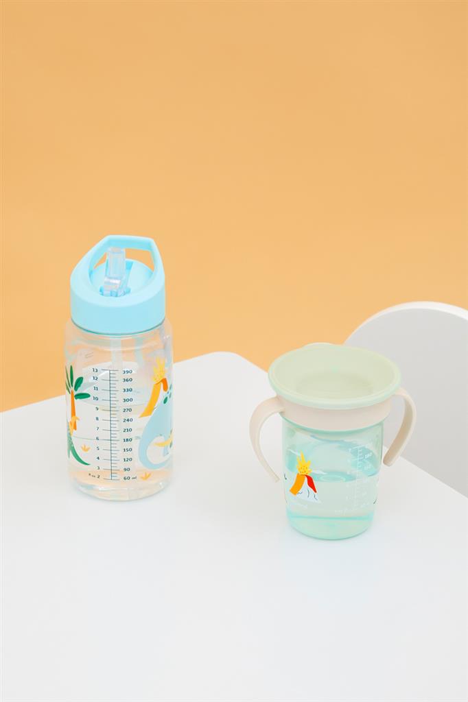 Trinkflasche: Dino 450 ml