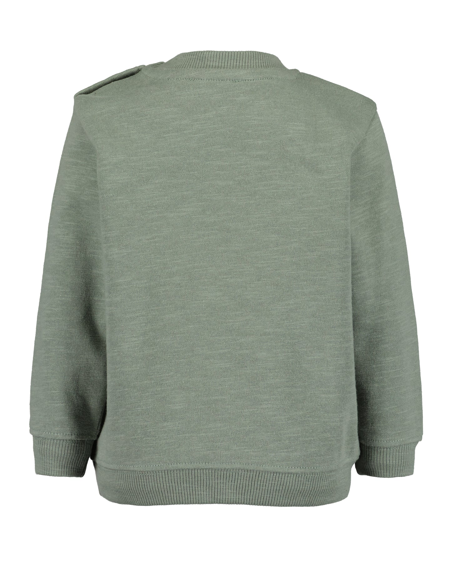 Pullover: olive,Nilpferd