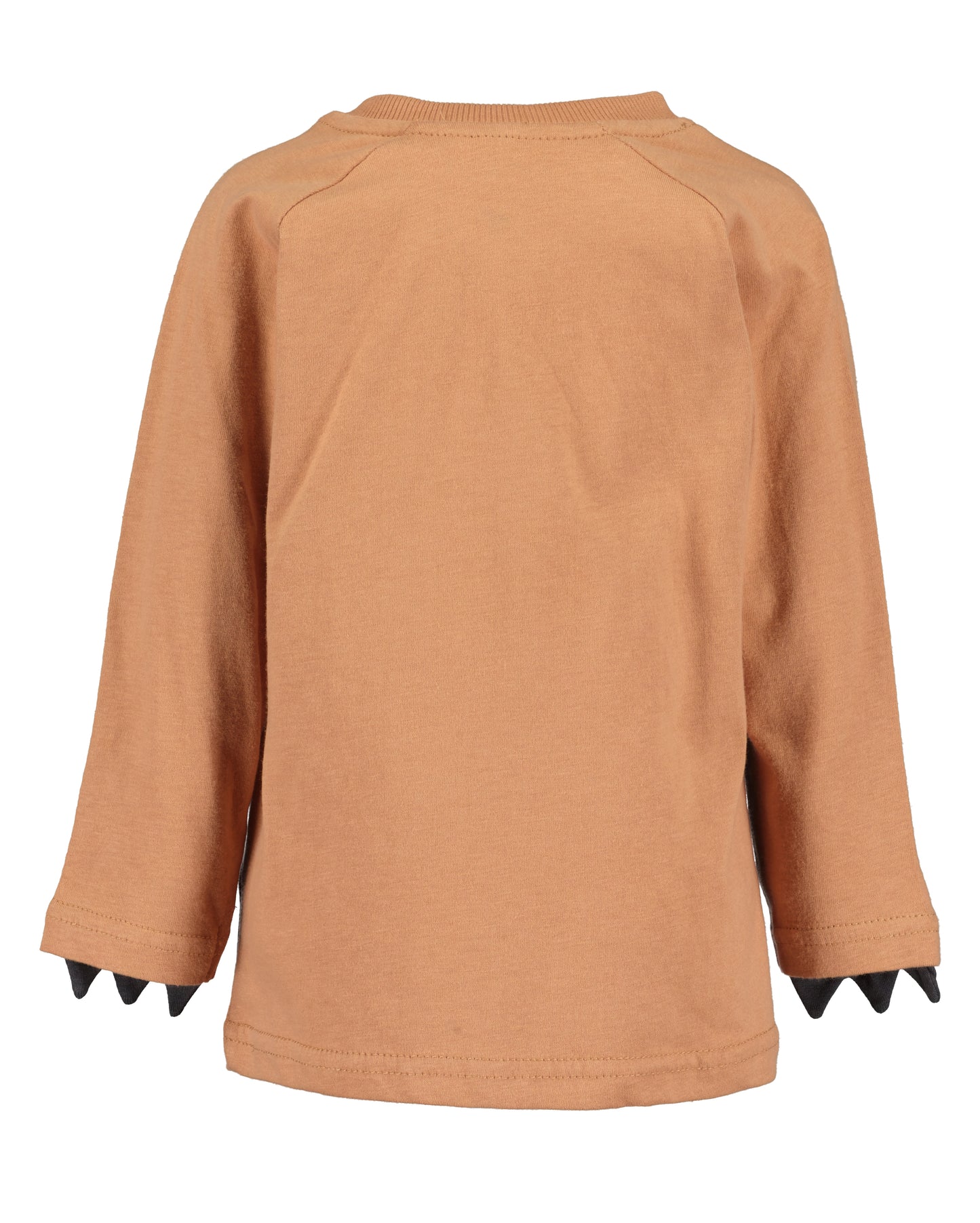Langarmshirt: braun,Bär