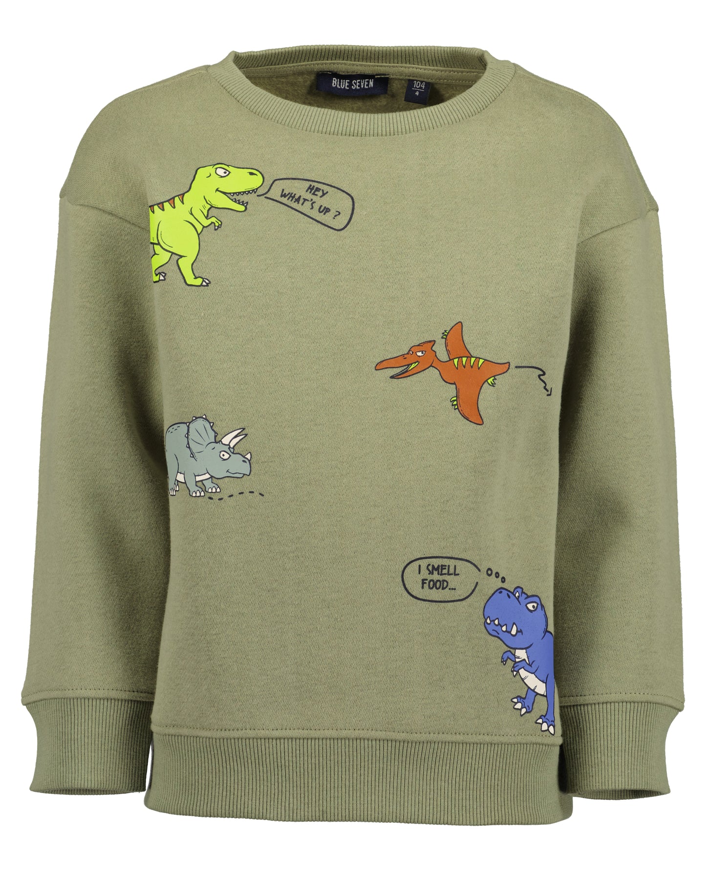 Pullover: Olive,Dino