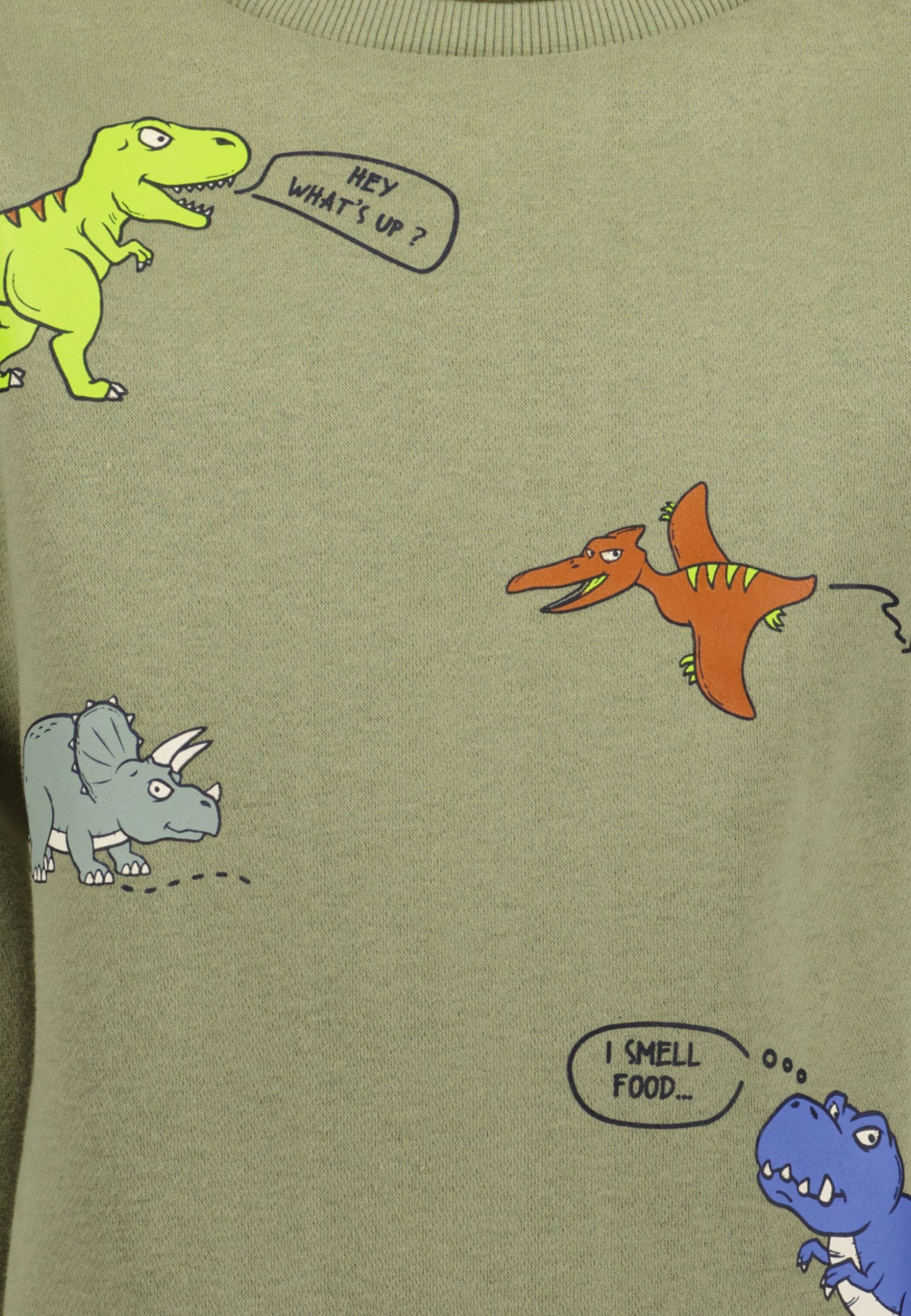 Pullover: Olive,Dino