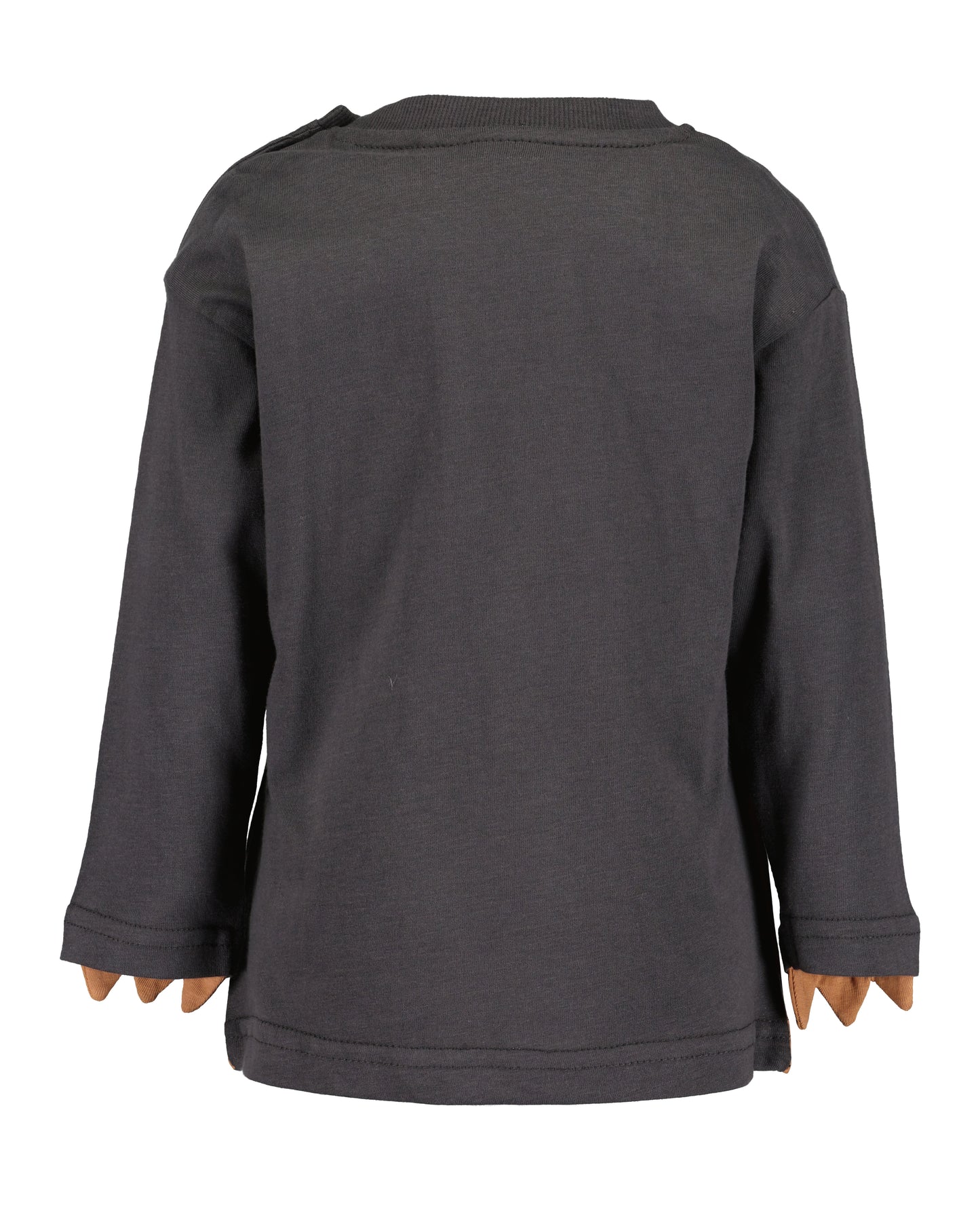 Langarmshirt: grau,Bär