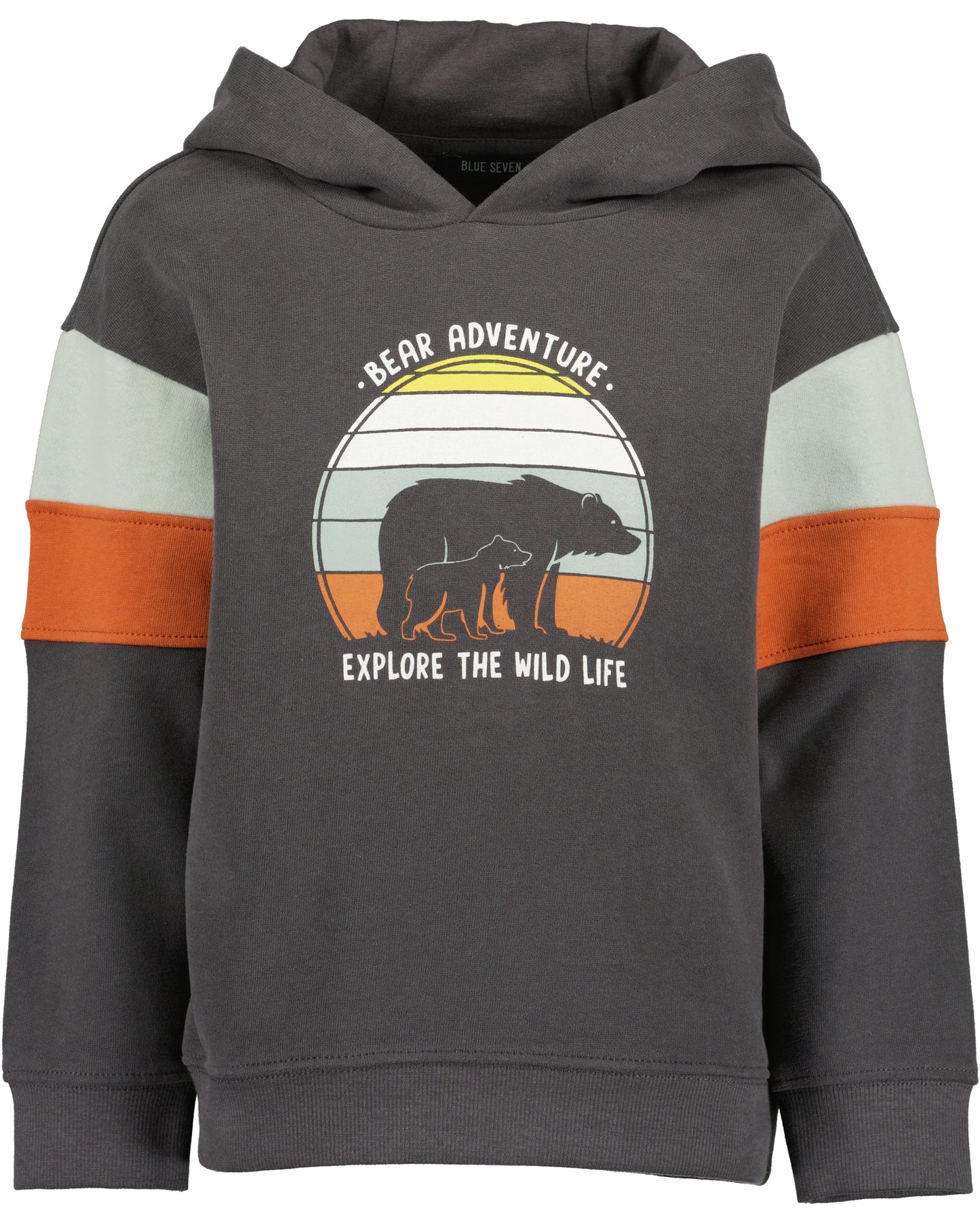 Sweatpullover: Dunkelgrau
