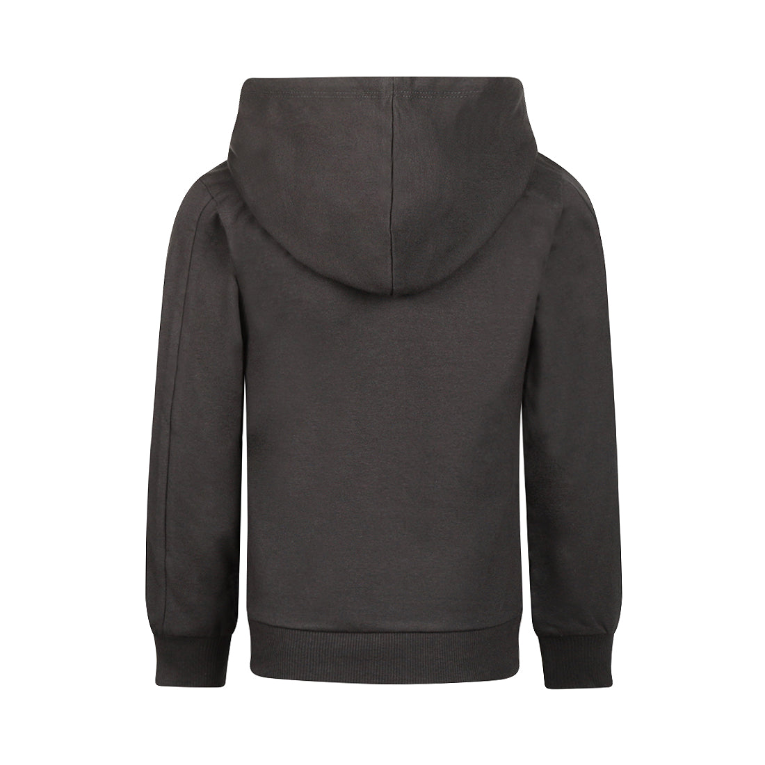 Sweatshirt mit Kapuze "Löwe"