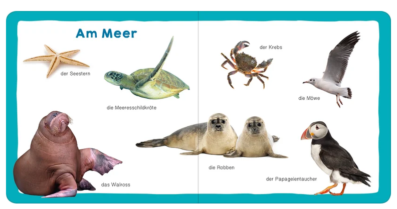 Meine ersten 100 Tiere