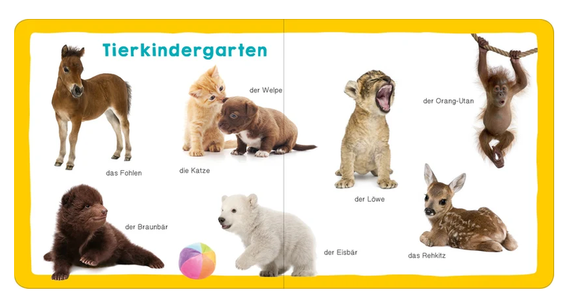 Meine ersten 100 Tiere