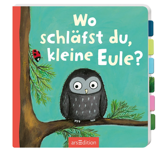 Wo schläfst du, kleine Eule?