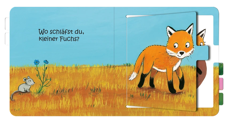 Wo schläfst du, kleine Eule?