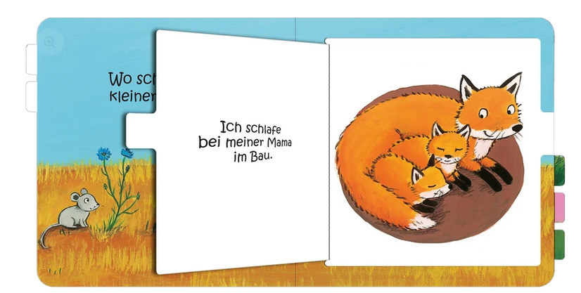 Wo schläfst du, kleine Eule?