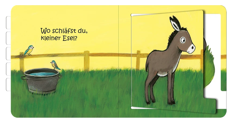 Wo schläfst du, kleine Eule?