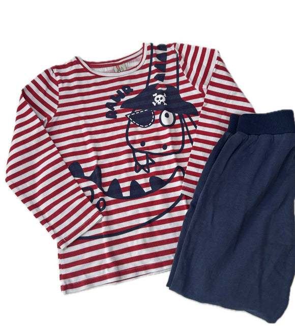 Set: Langarmshirt und Hose Gr 110