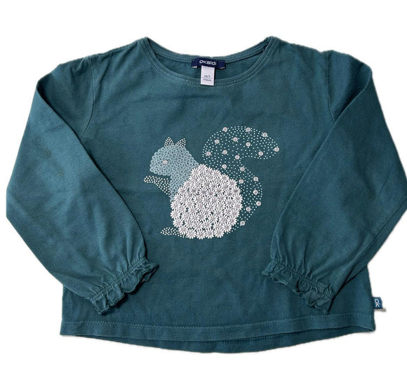 Langarmshirt Gr 110