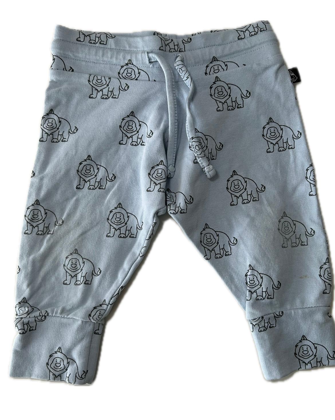 Hose Gr 62