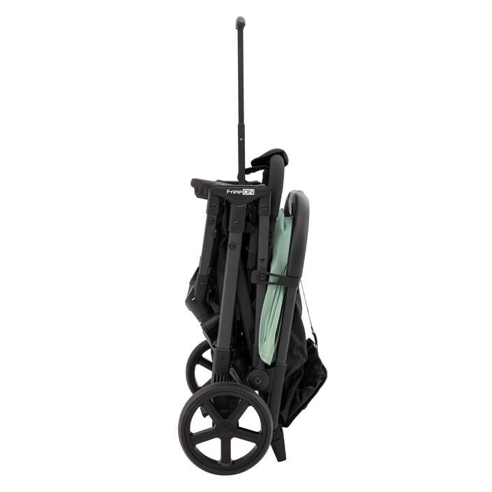 Free On Buggy: Tao: mint RESERVIERT
